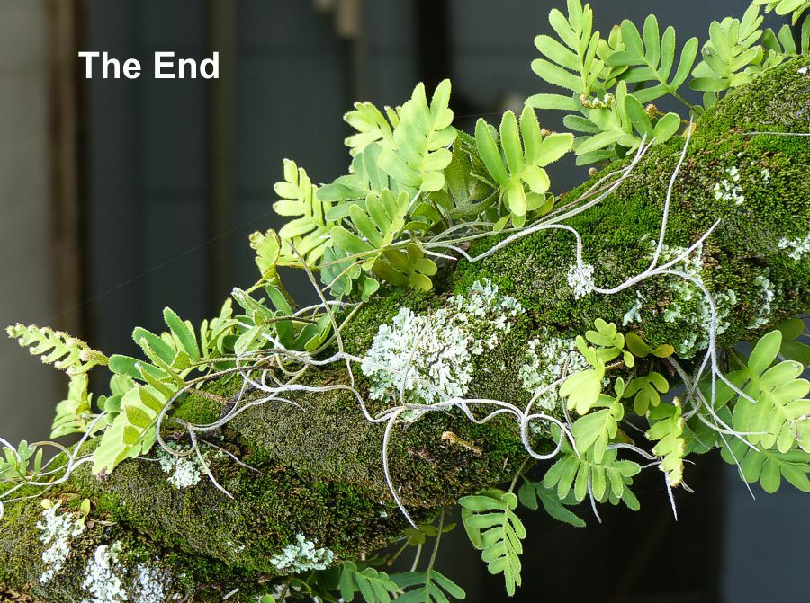 Click to See Next Image